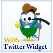 WDS WordPress Any User Twitter Feed